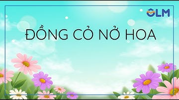 Đồng cỏ nở hoa - Tiếng Việt 4 (Kết nối tri thức với cuộc sống) [OLM.VN]