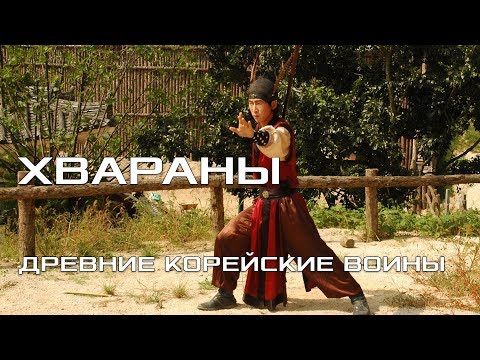 Видео: Страсть Кореи к борьбе: взлет и рост CafeId