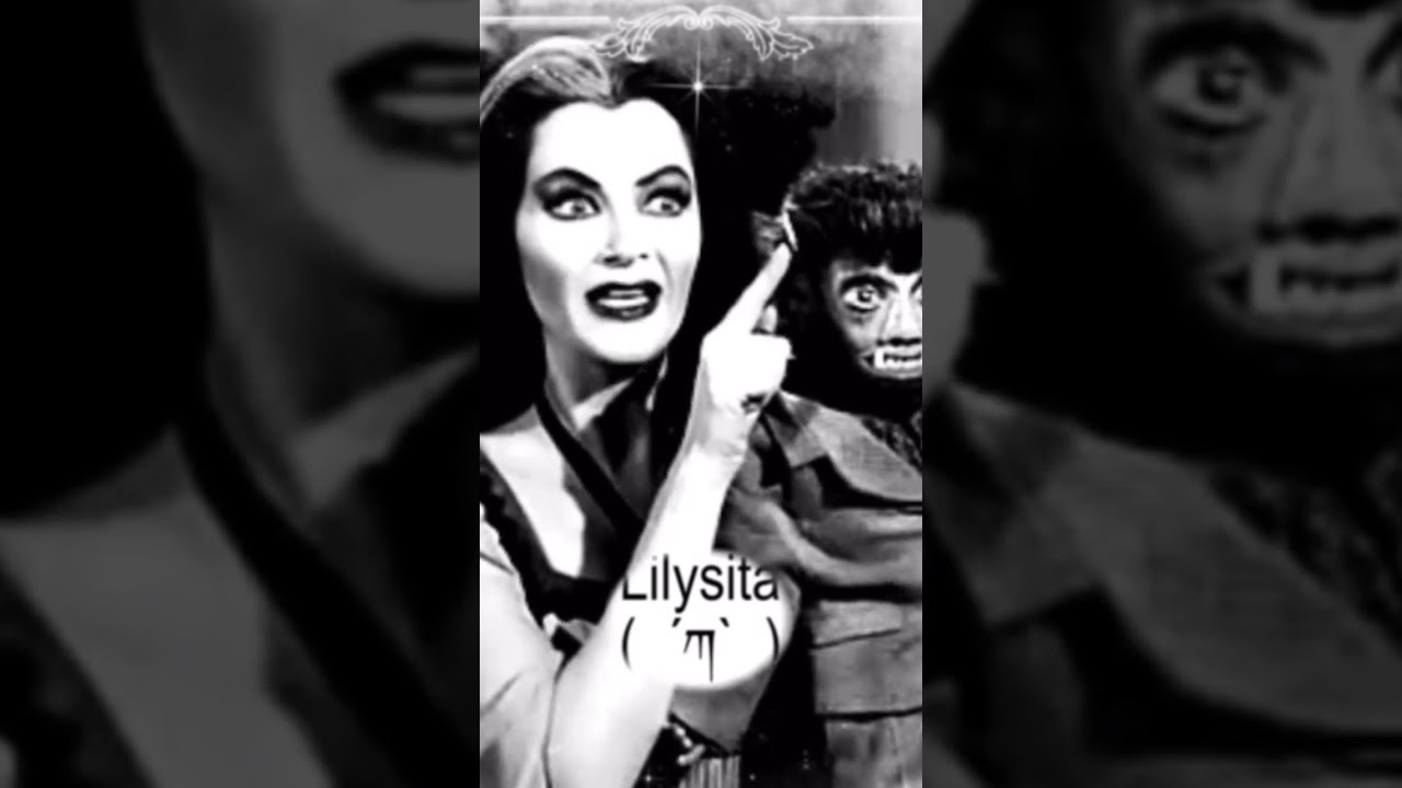 Hello everybody ! 🕸️