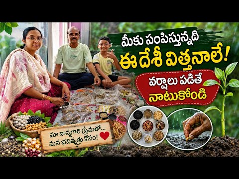 ఇప్పుడు పంపిస్తున్నది ఈ దేశీ విత్తనాలు Desi seeds are being sent to you now#seedsdistribution #seeds