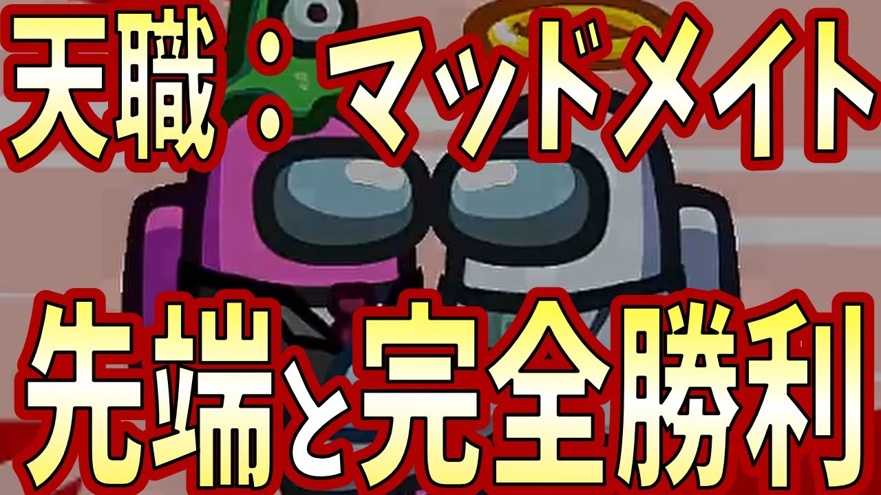 先端恐怖症をマッドメイトで超絶キャリーして完全勝利するもキルされるwww