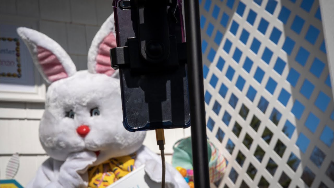 The Easter Bunny goes virtual due to coronavirus