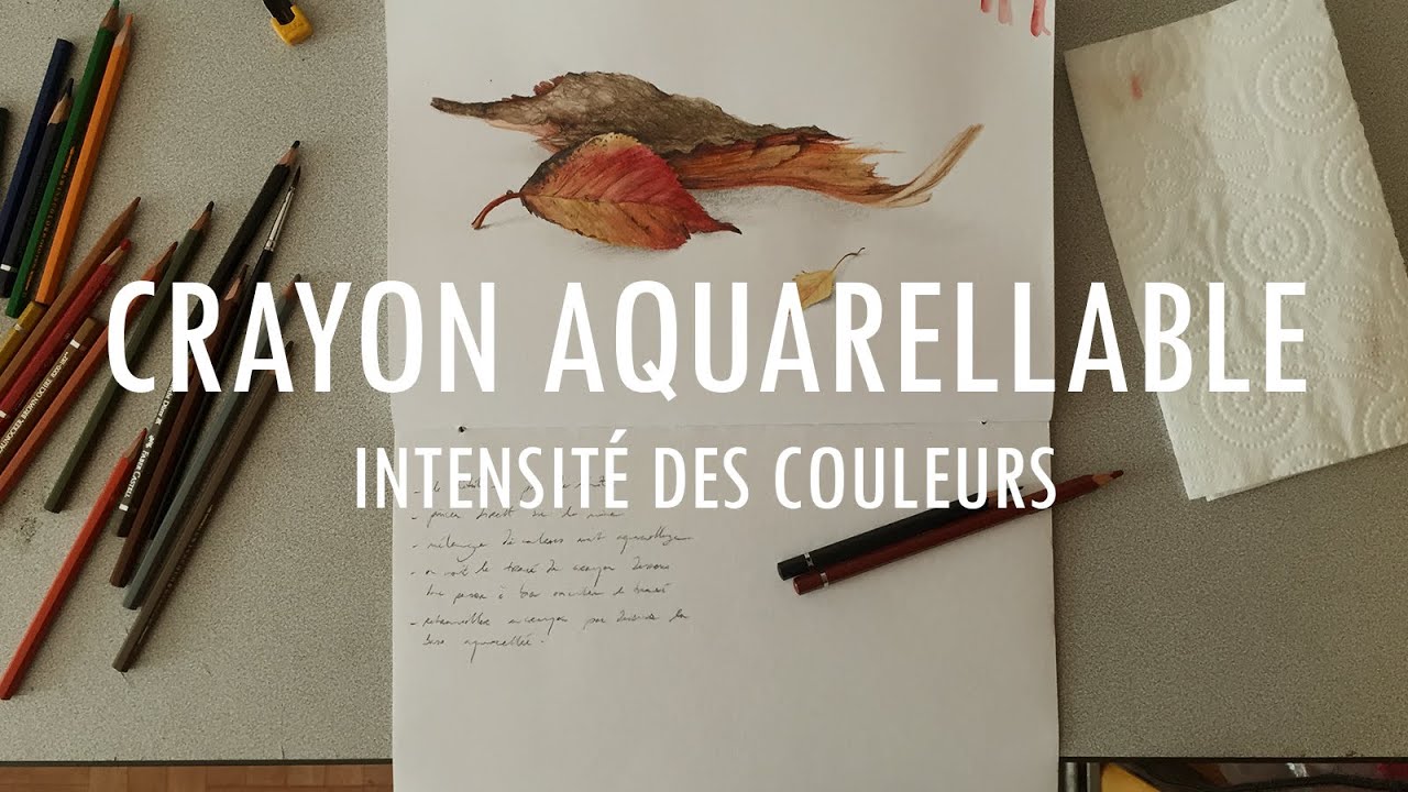 Crayon aquarellable | possibilités infinies & intensité des couleurs