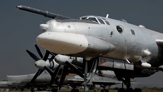 Raungan keras beruang tua masih menakutkan | TU-95 Bear