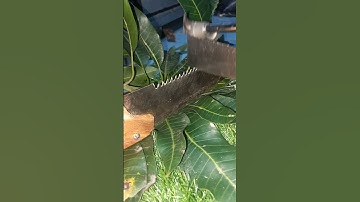 How to Sharpen a Dull Hand Saw FAST – No Power Tools Needed!"