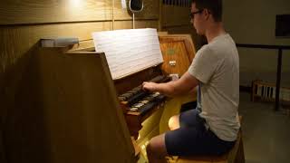 Louis Fonsi - Despacito - Orgel Cover by Hannes Krauth