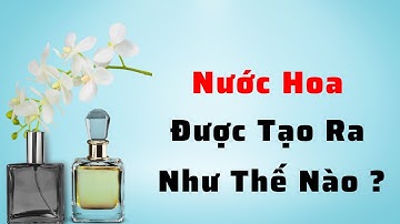 Cách Chế Tạo Nước Hoa | Hiểu Rõ Trong 3 Phút @AppliedScience.