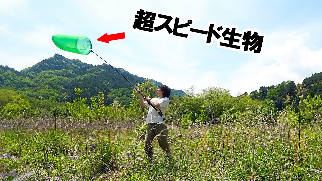 超スピードで飛ぶ激ヤバ生物を捕獲せよ！