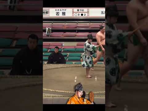 Fujiadzuma  VS Wakamiyabi Natsu Basho 2026 Sumo #сумо #japan #sport #япония #mma #sport #борьба