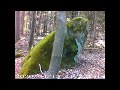 Steine im Buwald