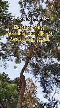 INILAH YANG TERJADI JIKA ENGKAU MENYAKITI HATI MANUSIA.#pengingatdiri#like#comen#shaere#subscribe#