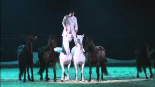 LORENZO EMOTION SHOW 16 BLACK AND WHITE Horses Avignon 2016