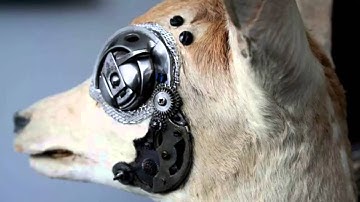 SCP-217 "The Clockwork Virus"