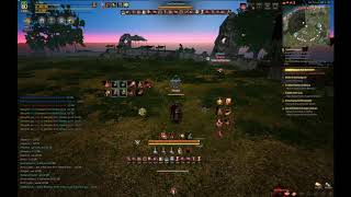 Bdo - Striker Vs Maehwa Duels
