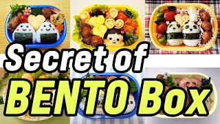 Unlocking the Secrets of Bento Boxes – Fun Facts & History!