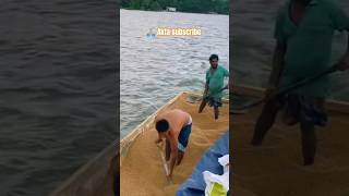 Trawler Full of Fish Food! 😲🐟 #Shorts#Fishing