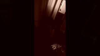 Panto devising blog part 1