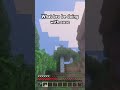 What bro be doing #minecraft #foryou #shorts #real #music