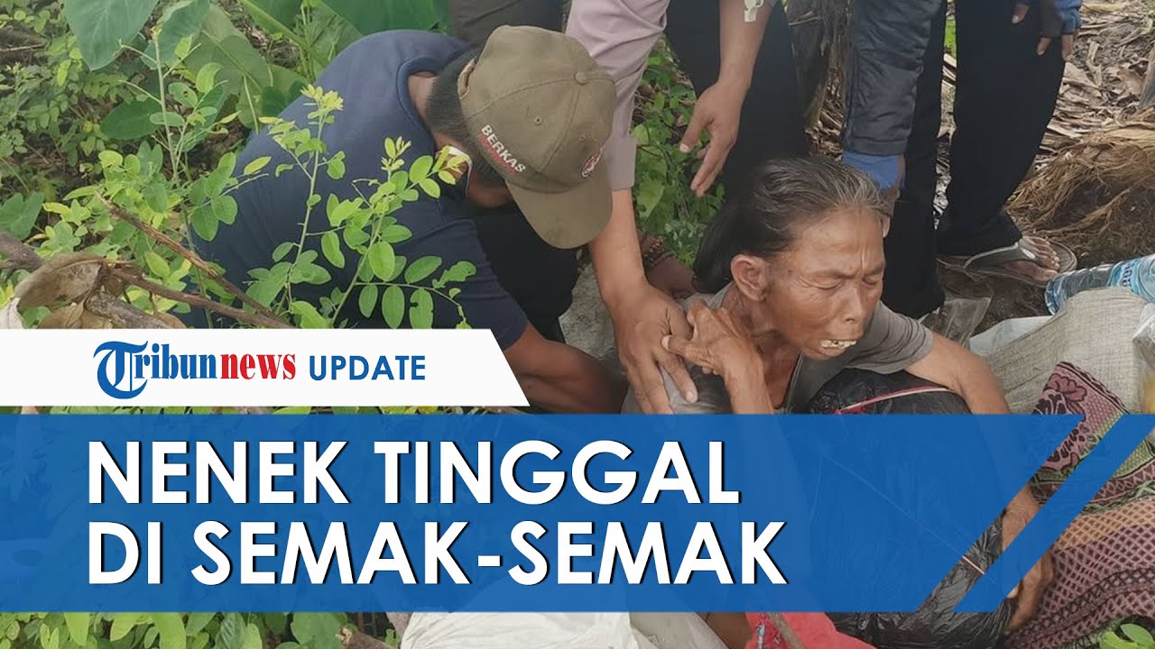 Viral Video Seorang Nenek Tinggal di Semak-semak, Mengais Makanan di Sampah  hingga Dianggap Gila - YouTube