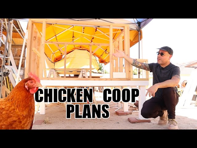 19+ Chicken Coop With Planter Box