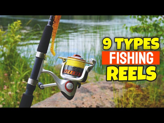 9 Types Of Fishing Reel  Different Types Of Fishing Reels Explained 