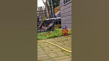 Pcp Shooting with exploding target