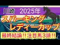 【スパーキングレディーカップ2025】蓮の地方競馬予想(最終結論)