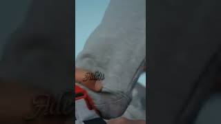 Yaşadık Be Tamam...~Aden Resimi