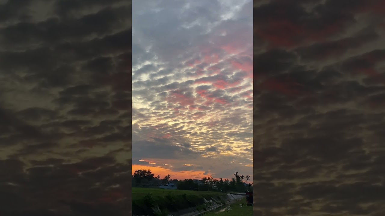 love is stranger thing✨❣️