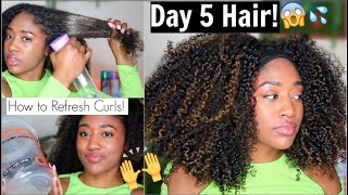 How to (Quickly) Refresh Curly Hair | Defined, Healthy, + Long Natural Hair!