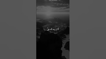 اكتب شيئ تؤجر عليه #عبدالرحمن_مسعد #سورة_يونس #قرآن_كريم​ #راحة​ #القرآن_الكريم​