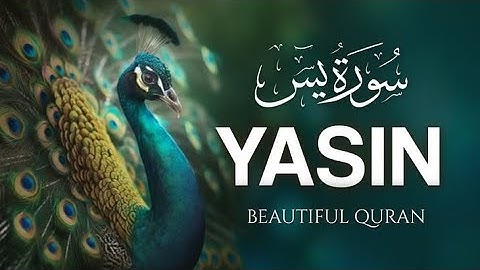 EP001Surah Yasin (Yaseen) سورة يس | Relaxing heart touching voice | The light of Quran