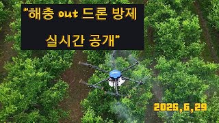대추밭 해춤 out 드론방제 실시간 공개