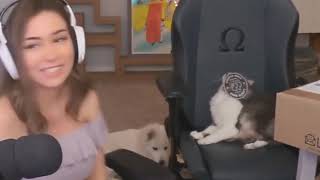Celebrity Alinity cat Wealth