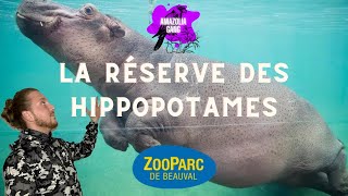 UN AQUARIUM A HIPPOS' !