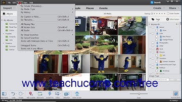 Photoshop Elements 2019 Tutorial Searching & Finding Your Images Adobe Training