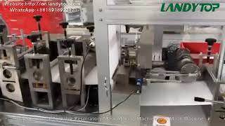 Autmatic Mask Machine With Vision Inspection UV Sterilization Auto Defective Rejection Film Packing