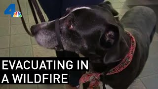 Checklist: What You Should Do to Prepare for an Emergency | NBCLA