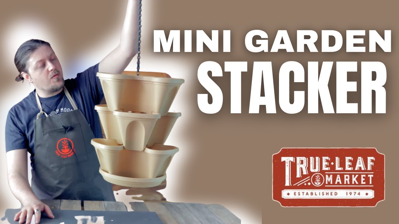 Garden Stacker Planter Culinary Herb Garden Kit - Color: Terracotta -  Stackable / Hangable Planter Pot - Indoor / Outdoor - 12 Seed Packs:  Parsley, Dill, Basil, Chives, Cilantro, More 