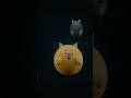 Jumping ORUTAN（「LIMIT」）