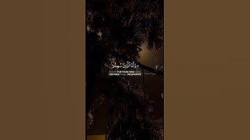 قران كريم ❤️ تلاوة مباركة خاشعة بصوت جميل للشيخ ماهر المعيقلي #quran #قران_كريم #اكسبلور #قرآن