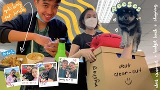 vlog \\ desk clear-out + meet reeses 🐶🐾