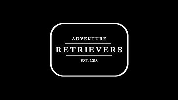 Force Fetch w/ Maverick - Session 10