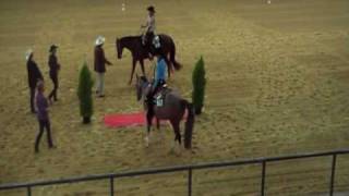 Awesome on ice EM 2009 Kreuth Siegerehrung Western Riding