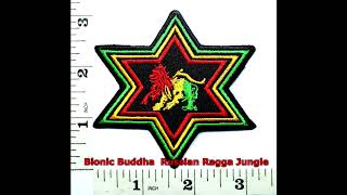 Bionic Buddha - Russian Ragga Jungle / Drum anb Bass Mix / Dnb Squad