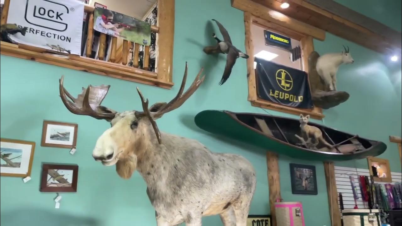 L. L. Cote Errol New Hampshire. YouTube