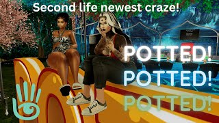 Welcome to Potted newest craze on Second Life
