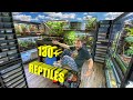 Reptile room tour november 2023 130 reptiles