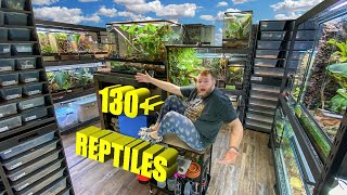 REPTILE ROOM TOUR NOVEMBER 2023!! +130 Reptiles by Mike Tytula 59,883 views 6 months ago 49 minutes