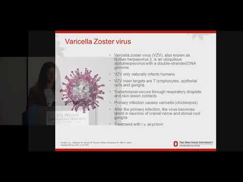 Rapid detection of Varicella Zoster Virus Central Nervous System Infections